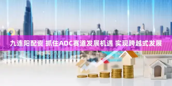 九连阳配资 抓住ADC赛道发展机遇 实现跨越式发展