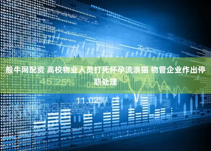 般牛网配资 高校物业人员打死怀孕流浪猫 物管企业作出停职处理
