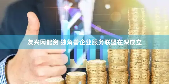 友兴网配资 独角兽企业服务联盟在深成立