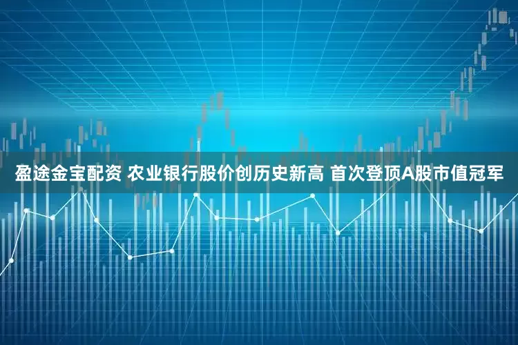 盈途金宝配资 农业银行股价创历史新高 首次登顶A股市值冠军
