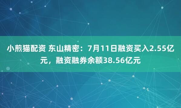 小煎猫配资 东山精密：7月11日融资买入2.55亿元，融资融券余额38.56亿元