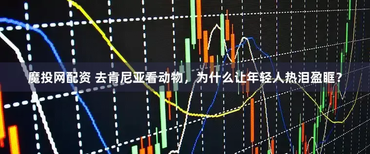 魔投网配资 去肯尼亚看动物，为什么让年轻人热泪盈眶？